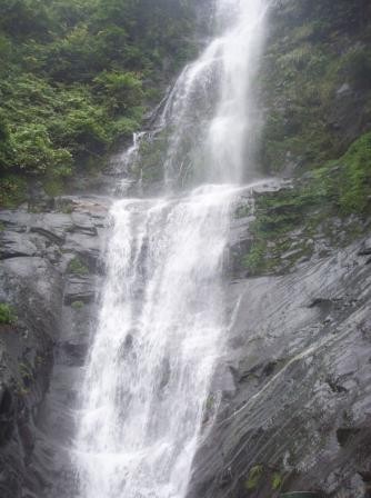 周洛活動 周洛活動